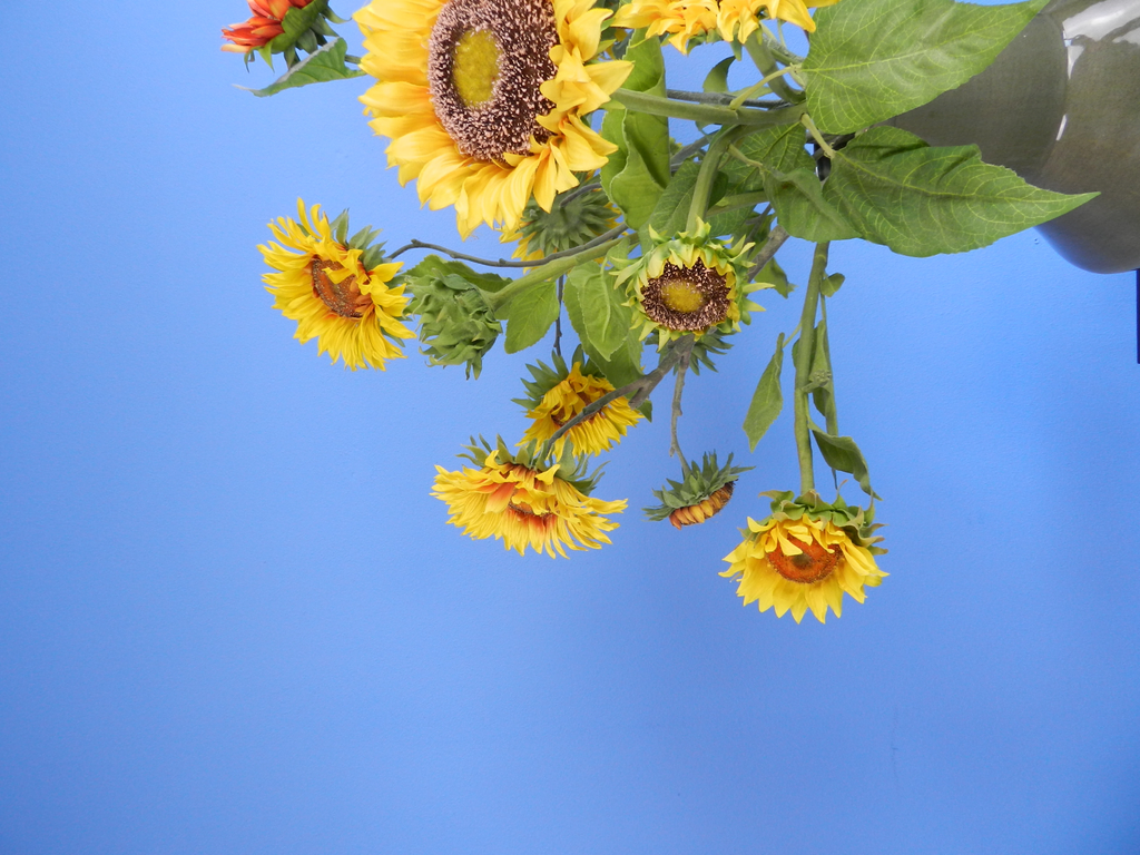 Huur dit ReFlower boeket van zonnebloemen met groene vaas bij BIYU voor duurzame decoratie! Voor elke gelegenheid zoals een bruiloft of verjaardag. 