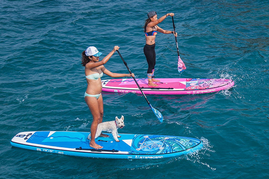 Enjoy paddling with pets on Starboard SUP from BIYU rental